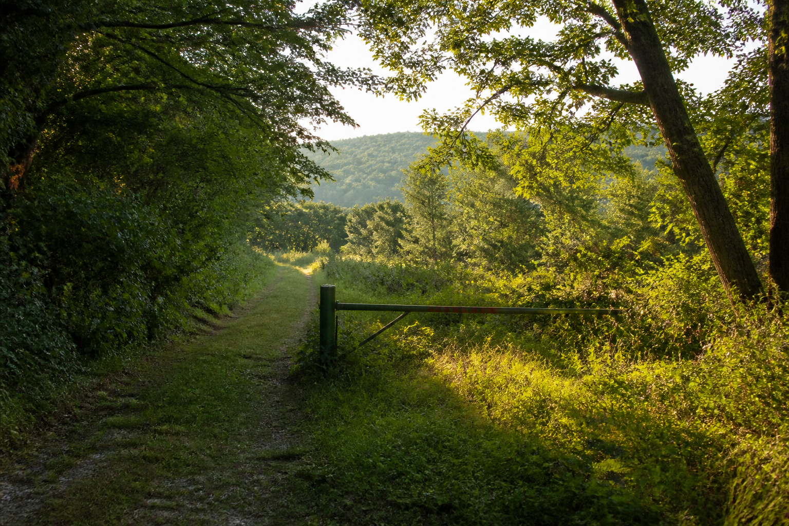 Belle Grove Wildlife Management Area