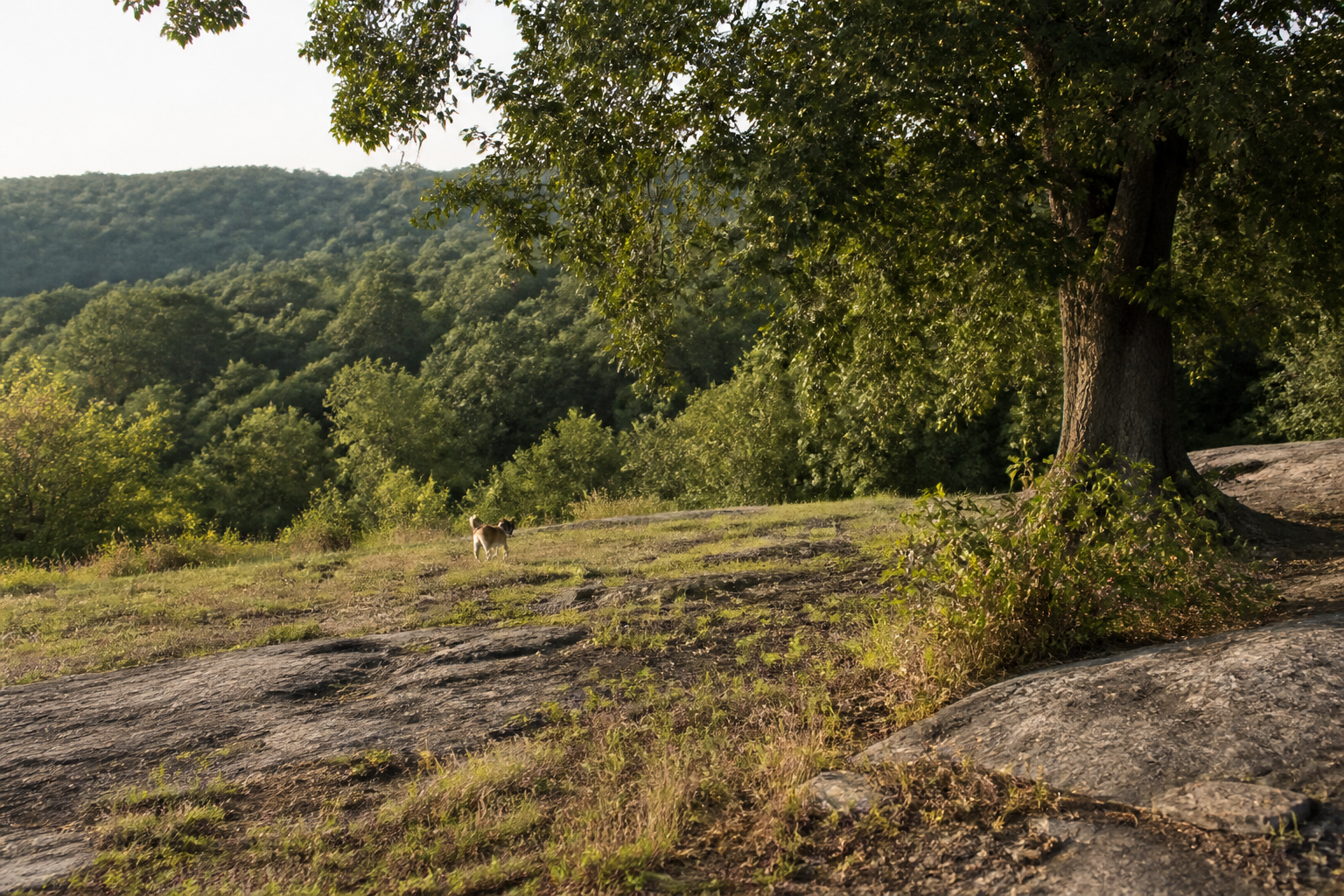 Billmeyer Wildlife Management Area