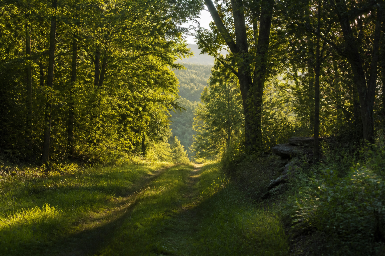 Warrior Mountain Wildlife Management Area