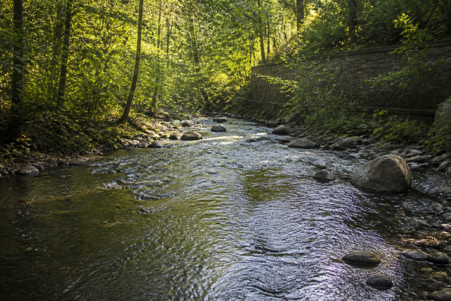 Evitts Creek Trout Water