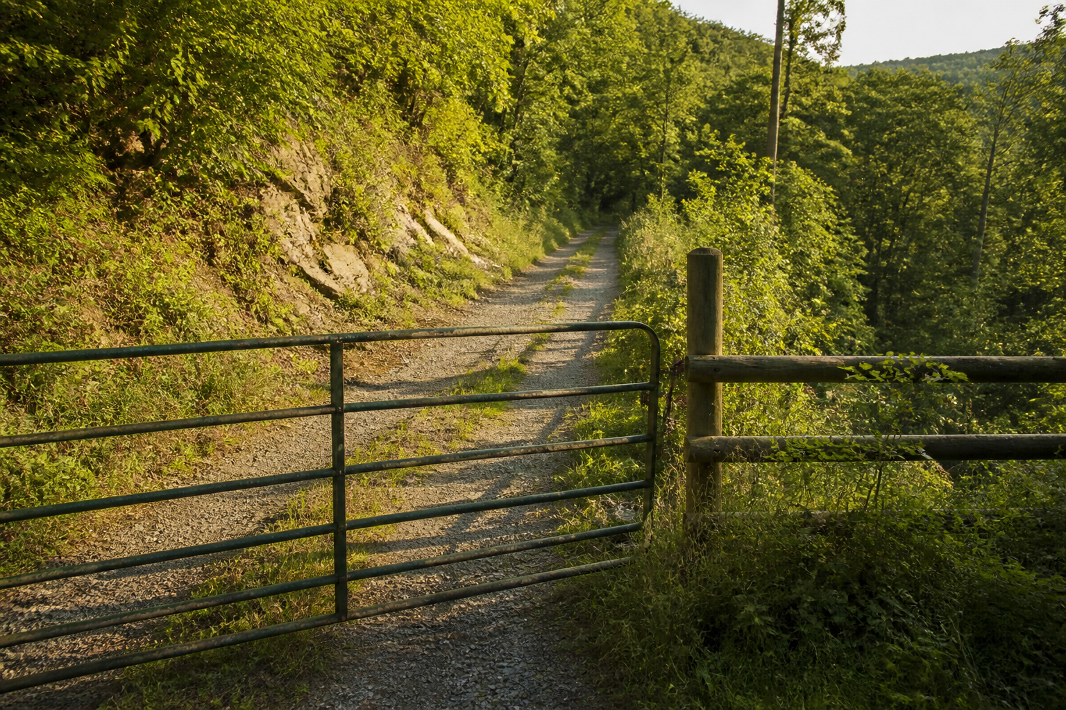 Dan's Mountain Wildlife Management Area
