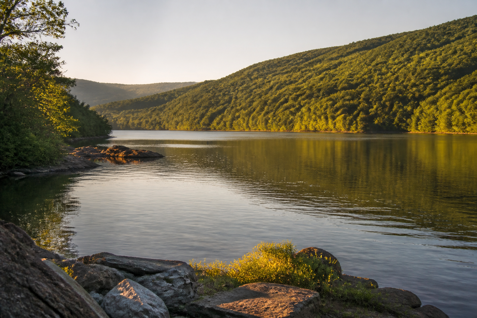 Jennings Randolph Lake